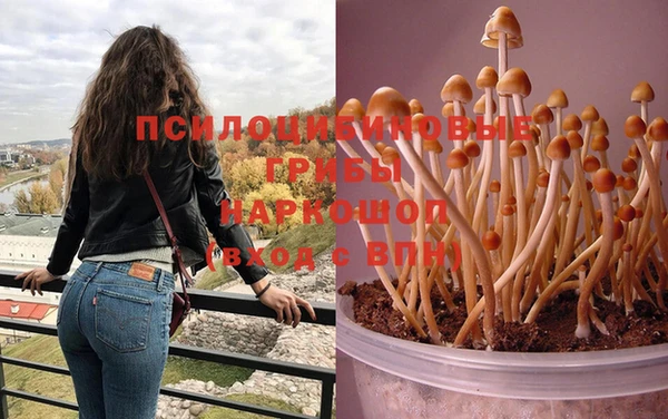 кокаин Коряжма
