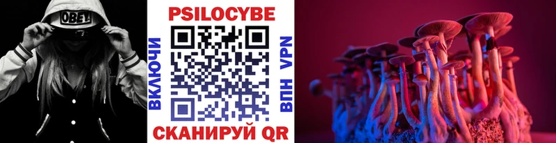 Купить Горнозаводск Псилоцибиновые грибы прущие грибы